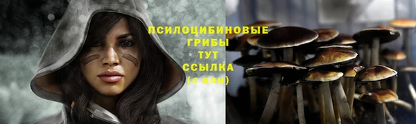 стафф Нефтекумск