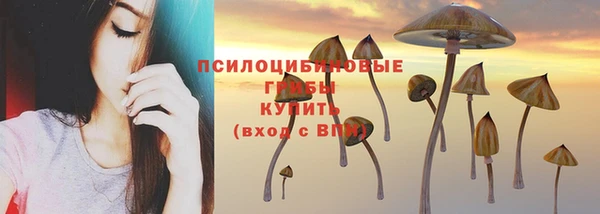 стафф Нефтекумск
