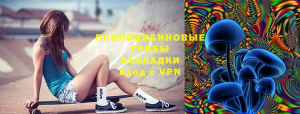 стафф Нефтекумск