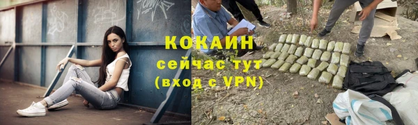 стафф Нефтекумск
