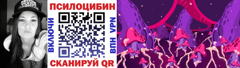 mega как зайти  Ахтубинск  Псилоцибиновые грибы Psilocybe 