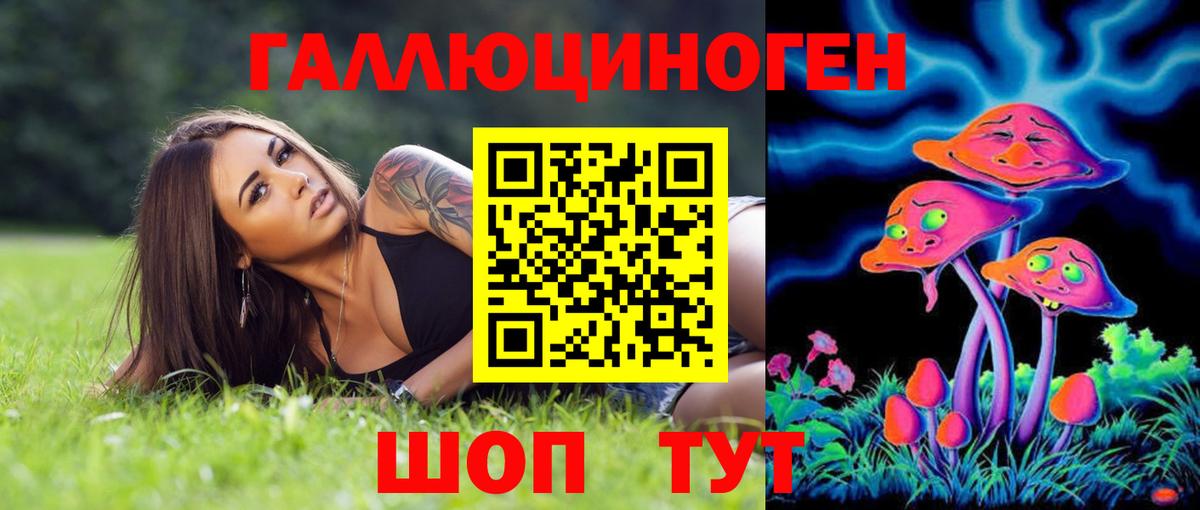 Псилоцибиновые грибы мицелий Ахтубинск