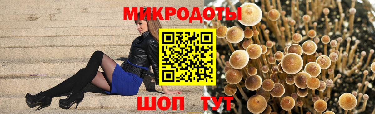 Псилоцибиновые грибы MAGIC MUSHROOMS  Вход с VPN  Ахтубинск 