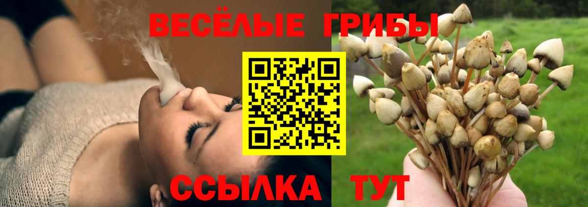 Псилоцибиновые грибы ЛСД  Галлюциногенные грибы Psilocybine cubensis  Ахтубинск 